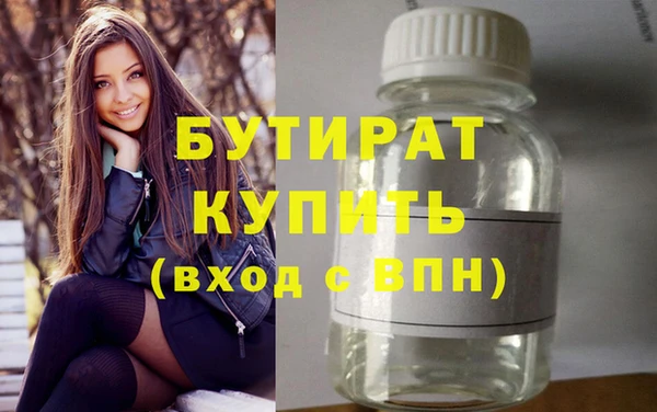 сатива Ельня