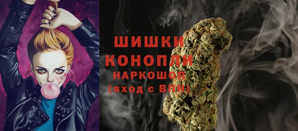 сатива Ельня